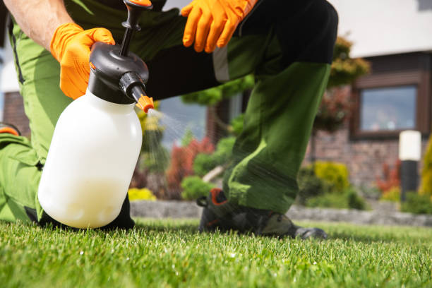 Best Local Pest Control Services  in Camp Hill, PA